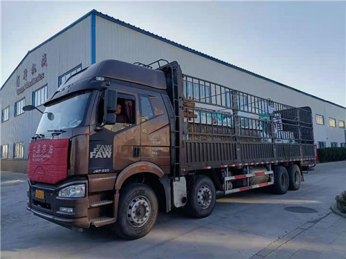 俏牌文冠果脫殼設備裝車(chē)發(fā)貨